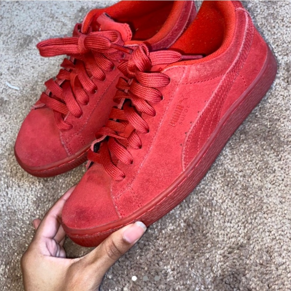 Red pumas